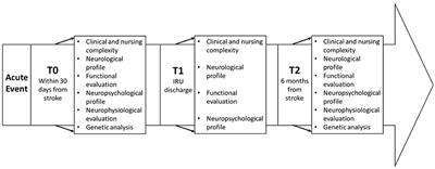 Predictors of Function, Activity, and Participation of Stroke Patients Undergoing Intensive Rehabilitation: A Multicenter Prospective Observational Study Protocol